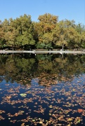 4th Nov 2022 - Blue sky, reflections and autumn leaves on the water. Nature keeps giving