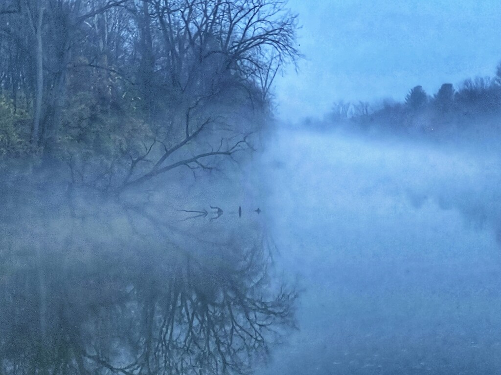evening fog by amyk