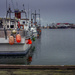 Early morning, Steveston Harbour by cdcook48