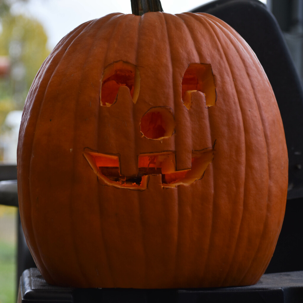 Our Happy Pumpkin by bjywamer