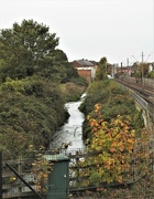 30th Oct 2022 - River Leen