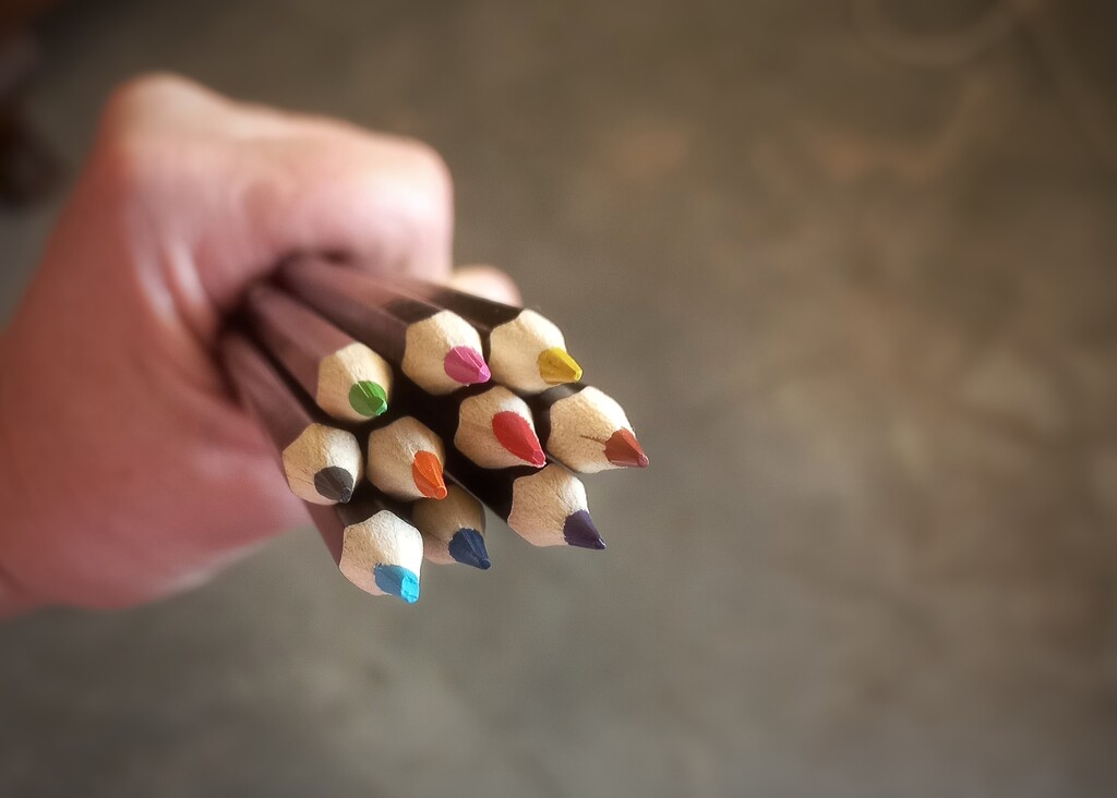 Handful of Pencils  by salza
