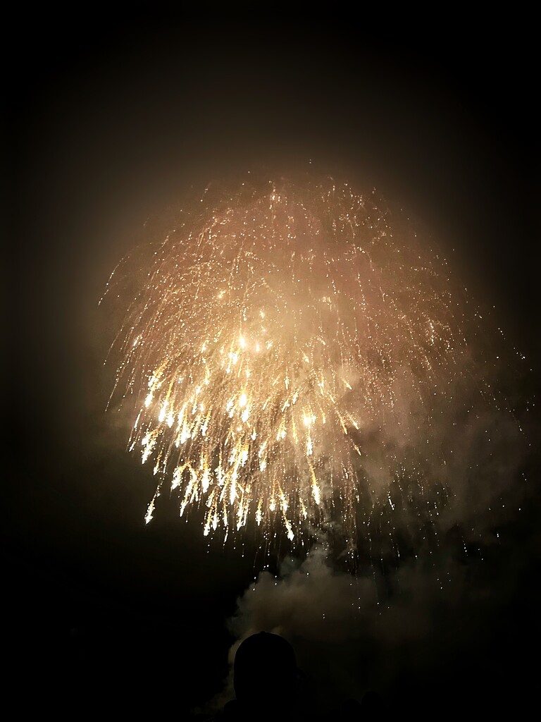 Firework by gaillambert