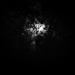 Moonlight Through Branches by epcello