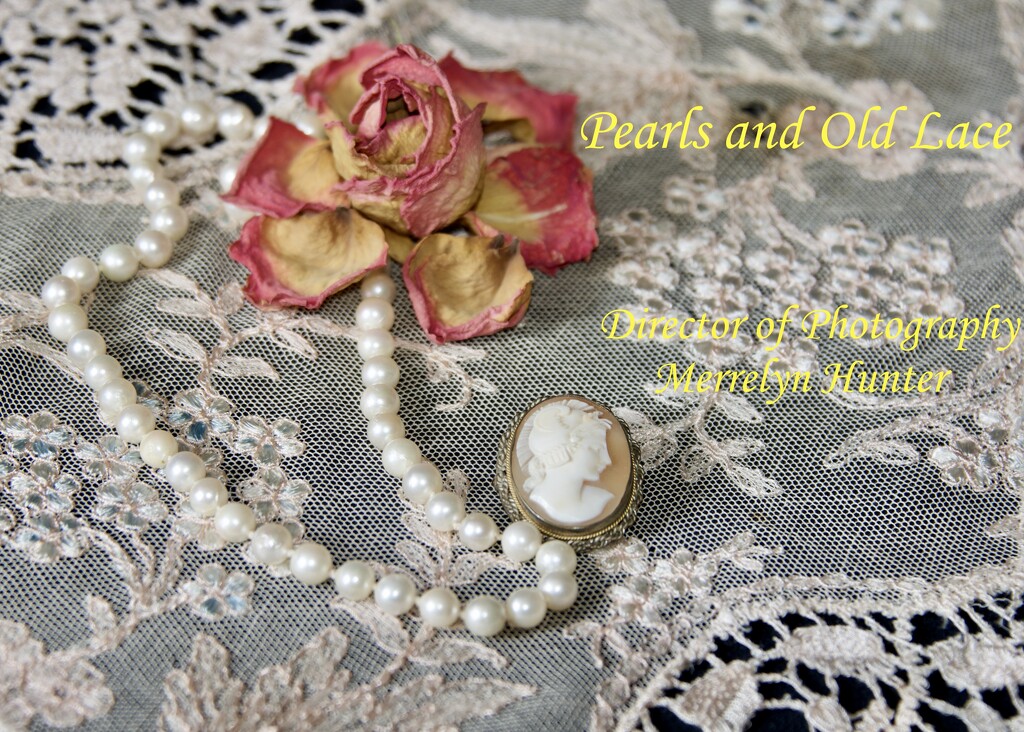 Pearls And Old Lace DSC_4018 by merrelyn