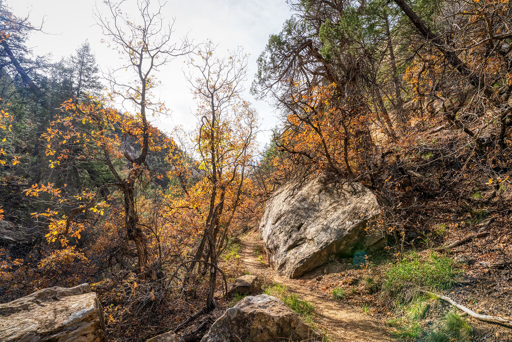 Spruce Canyon Solitude by kvphoto