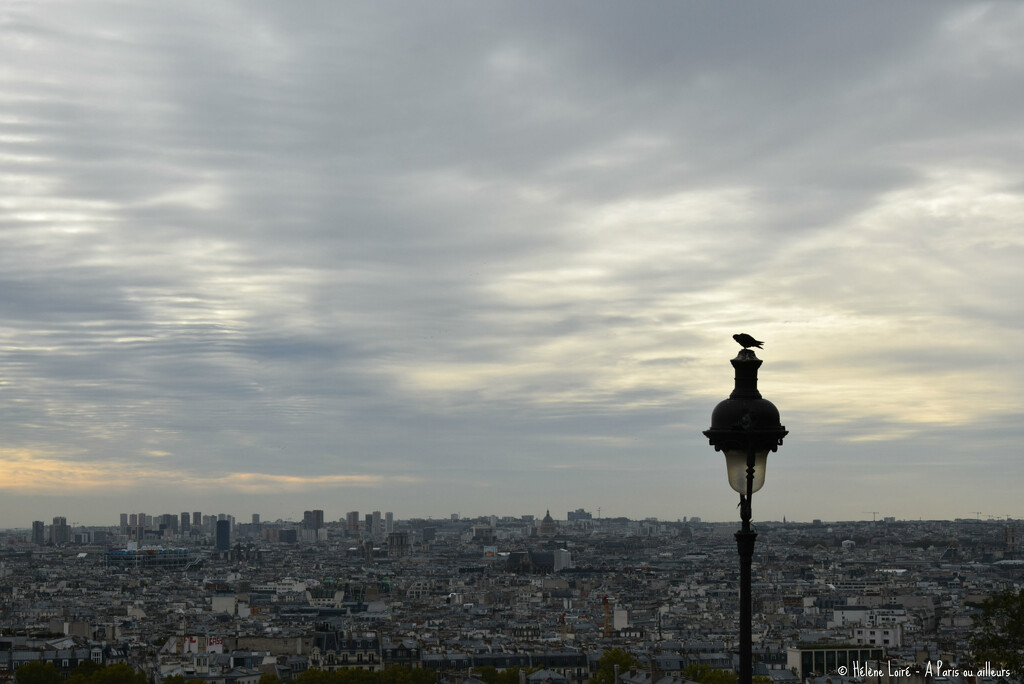 a pigeon with a view by parisouailleurs