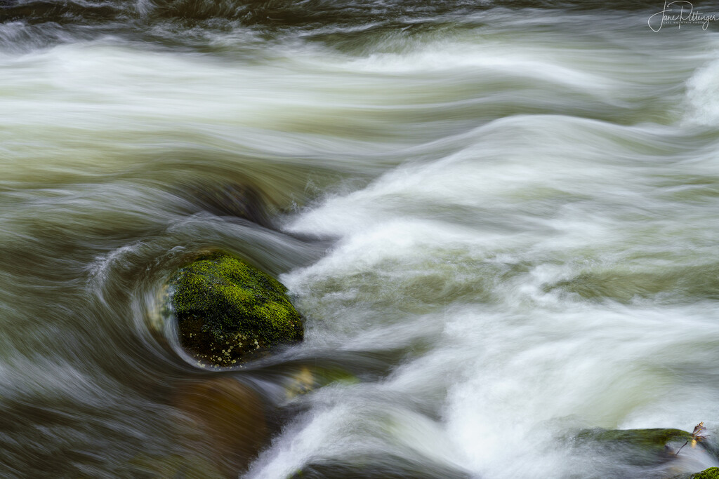 Swirls at Sweet Creek  by jgpittenger