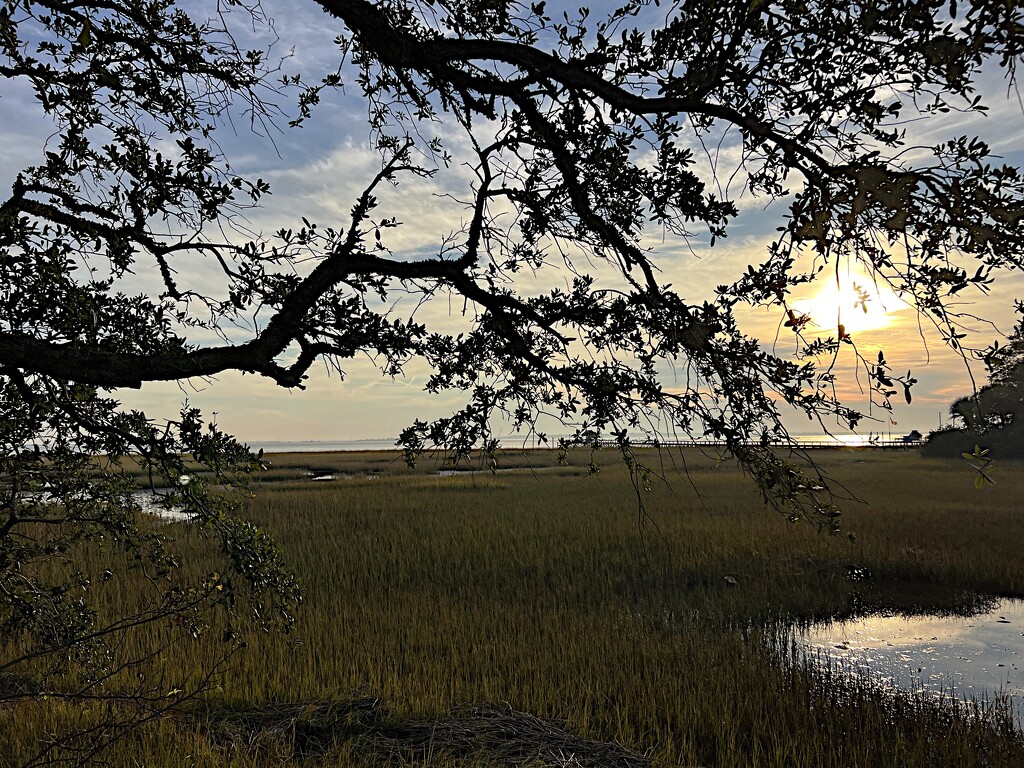 Setting sun over harbor and marsh by congaree