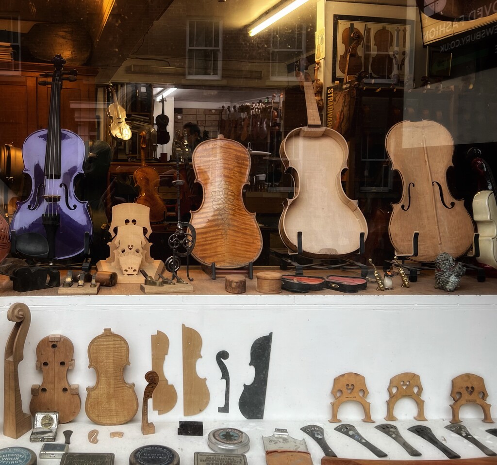 Violin shop by tinley23