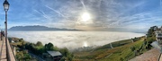 7th Nov 2022 - A lake of mist. 