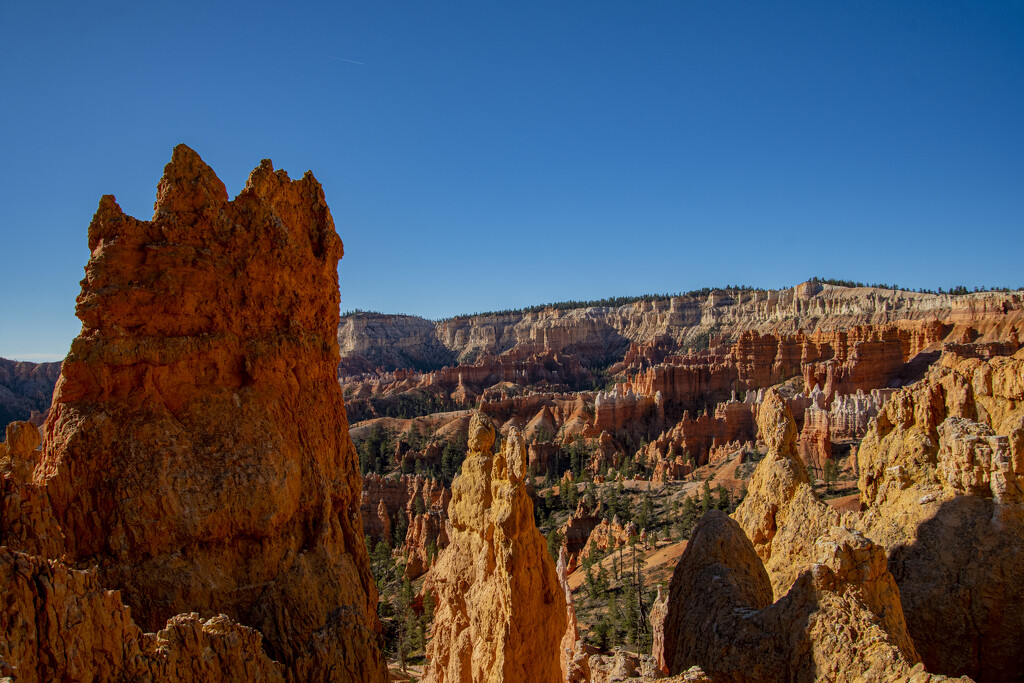 Inside Bryce Canyon by cwbill