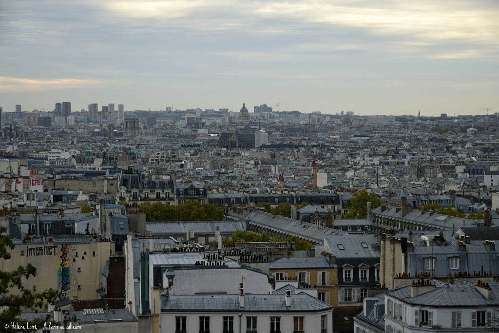 Paris' famous grey roofs by parisouailleurs