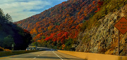 3rd Nov 2022 - Autumn in the Allegheny Mountains