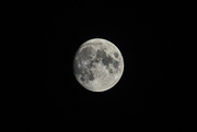 7th Nov 2022 - Who wants to the moon with me?