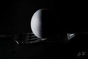 7th Nov 2022 - egg in shadow