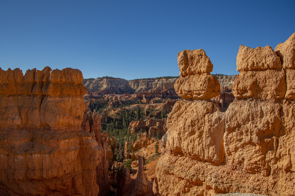 Another View Of Bryce by cwbill