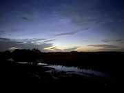 7th Nov 2022 - Early evening marsh after sunset