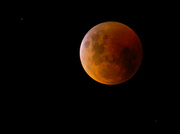 8th Nov 2022 - blood moon 
