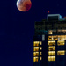 Lunar Eclipse by briaan