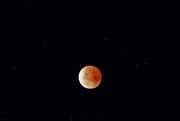 8th Nov 2022 - Blood Moon