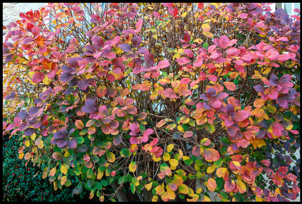 Autumn Pastels by hjbenson