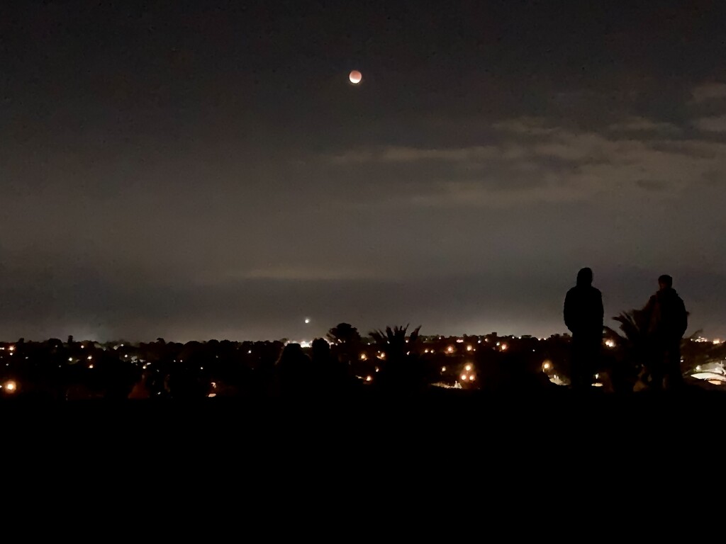 Lunar Eclipse  by narayani