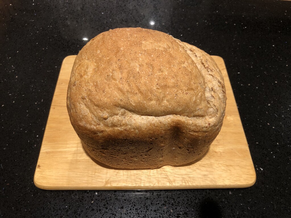 I Made a Loaf! by susiemc