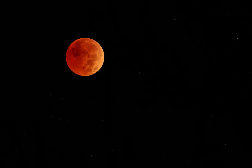 Lunar Eclipse by pamalama