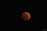 8th Nov 2022 - Lunar Eclipse  