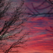 Sunset 2 by larrysphotos