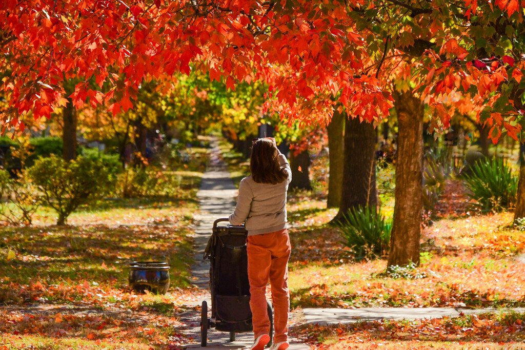 Autumn Stroll by kareenking