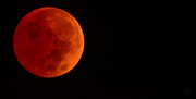 8th Nov 2022 - Blood Moon!