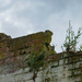 Old brick wall  by suez1e