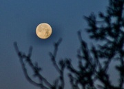 9th Nov 2022 - Full moon this morning.