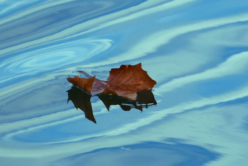 autumn on the water by cam365pix