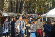 9th Nov 2022 - Céret market