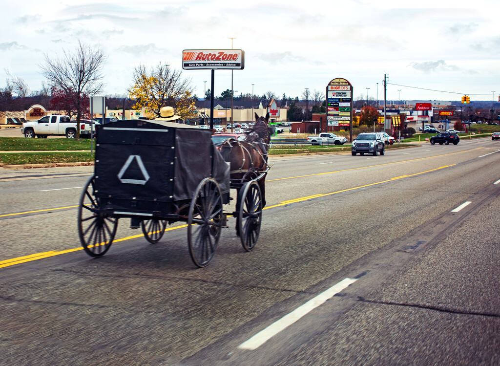 Michigan Amish by 365projectorgchristine