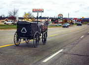 9th Nov 2022 - Michigan Amish