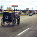 Michigan Amish by 365projectorgchristine