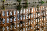 25th Oct 2022 - Ripples and Reflections 