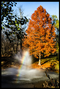 9th Nov 2022 - Rainbow in the Fountain