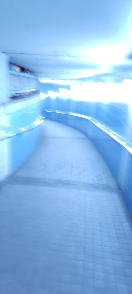 Wong Kai Wai tunnel by wongbak