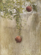 5th Nov 2022 - Winter Pomegranates 