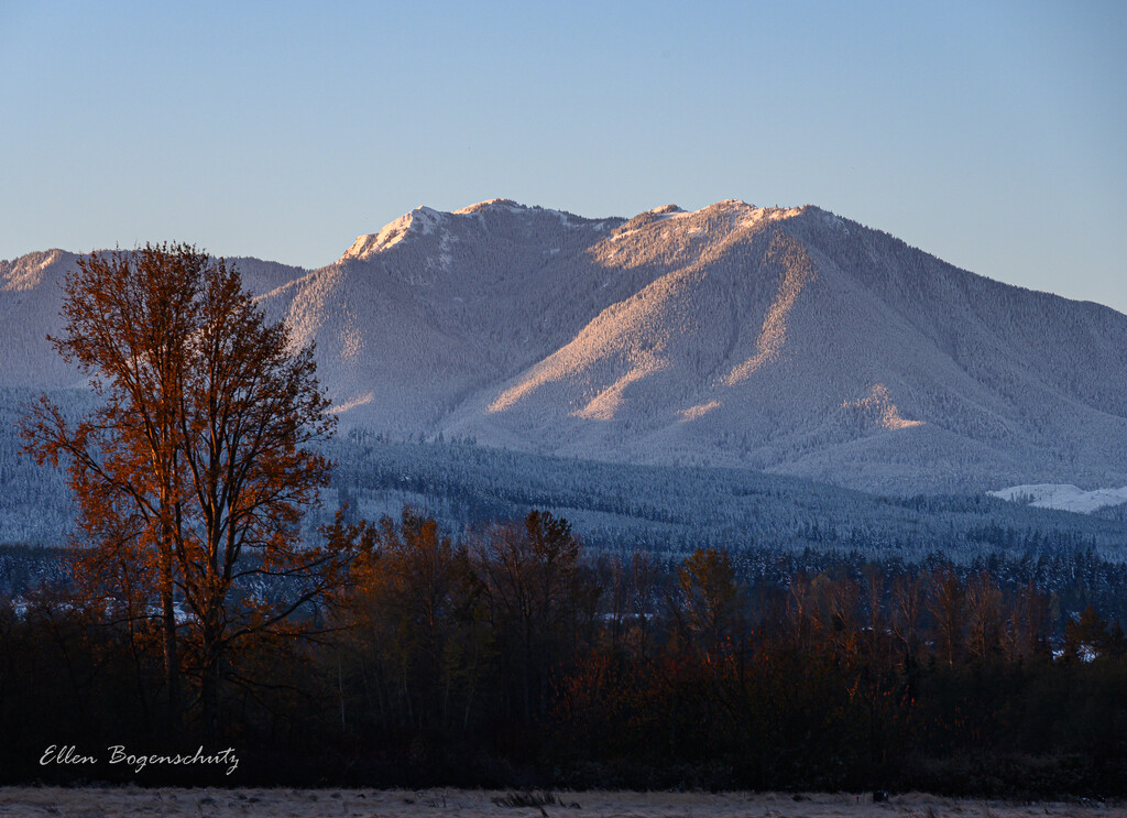 Morning light on tree and mountains by theredcamera