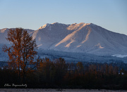 10th Nov 2022 - Morning light on tree and mountains