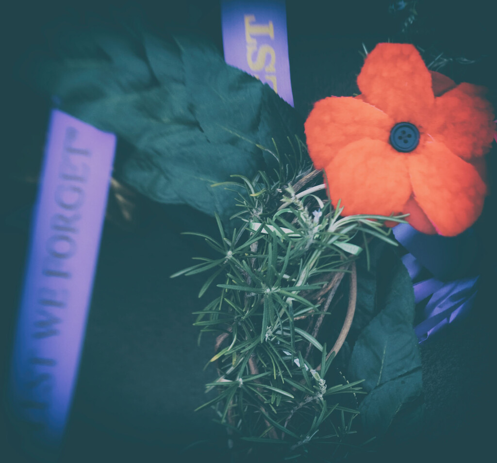 Lensbaby 11 - LEST WE FORGET by annied