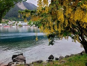 11th Nov 2022 - Early morning  Queenstown. 