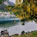 Early morning  Queenstown.  by julzmaioro