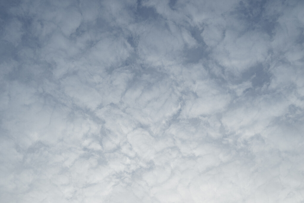 Morning clouds by mdaskin